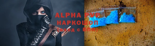 гидра Богородск