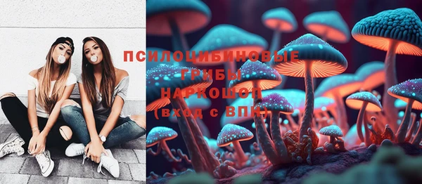 соль курить ск Верея