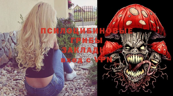 кокс Михайлов
