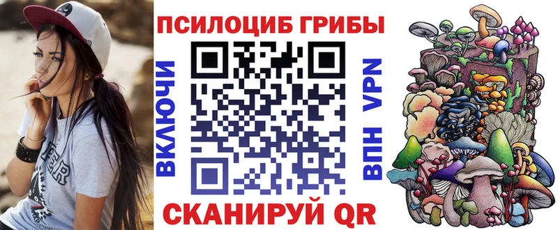 цена наркотик  MEGA зеркало  Псилоцибиновые грибы прущие грибы  Ревда 