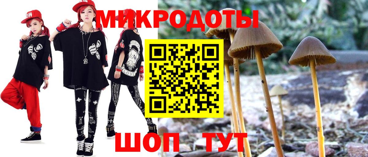 Псилоцибиновые грибы MAGIC MUSHROOMS Ревда