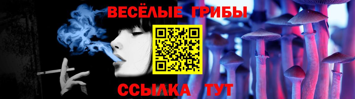 Псилоцибиновые грибы прущие грибы  Ревда 