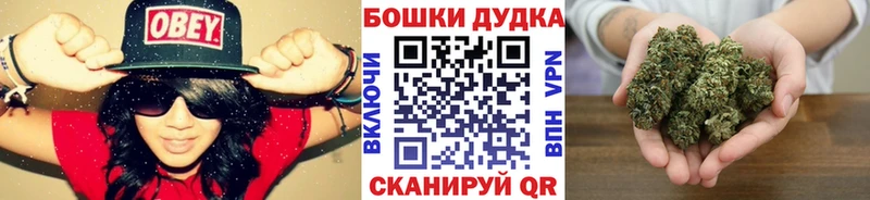 Бошки Шишки планчик  Ревда 